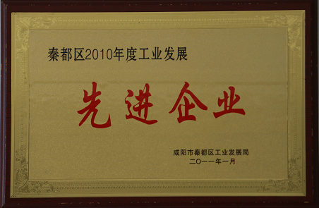 秦都區(qū)2010年度工業(yè)發(fā)展先進企業(yè)